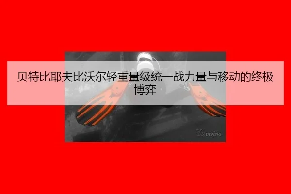bei-te-bi-ye-fu-bi-wo-er-qing-zhong-liang-ji-tong-yi-zhan-li-liang-yu-yi-dong-de-zhong-ji-bo-yi-3-462.jpg