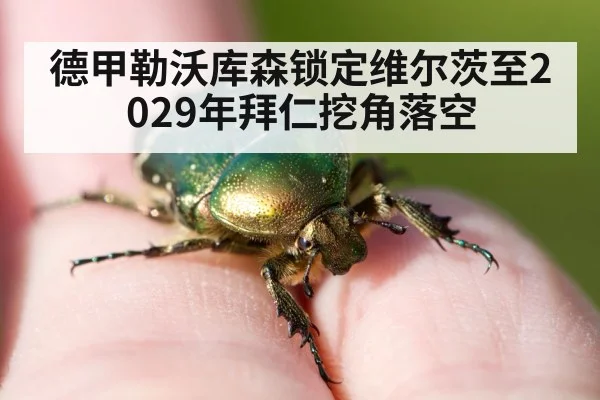 德甲勒沃库森锁定维尔茨至2029年拜仁挖角落空